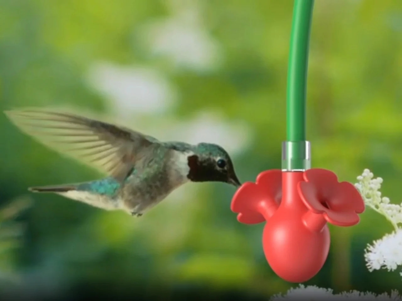 Hum Bloom，Intelligent bird feeder，Digital，electronic product，