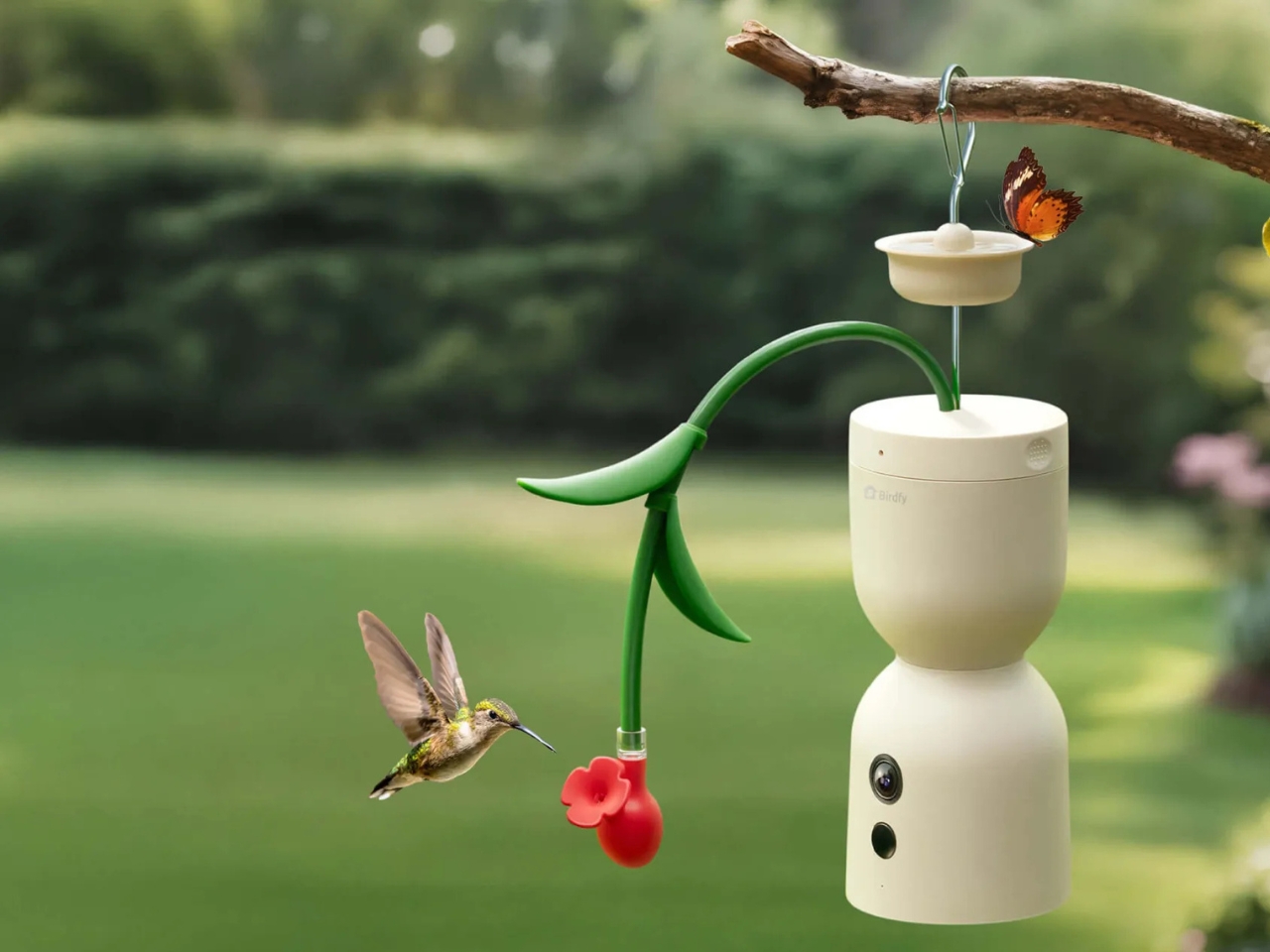 Hum Bloom，Intelligent bird feeder，Digital，electronic product，