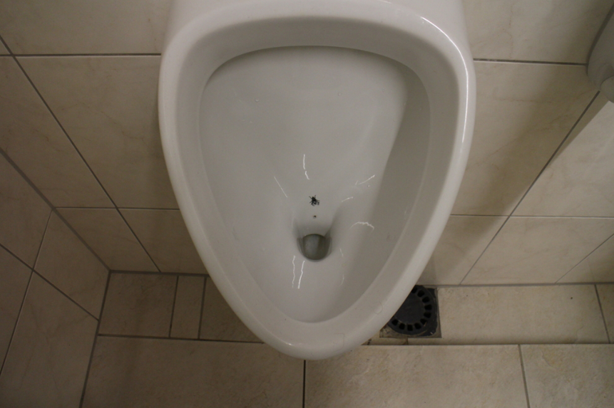 water conservation，hygiene，