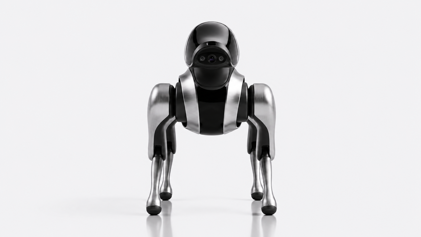 # Quadruped Robot# Home Robot# Intelligent Robot，