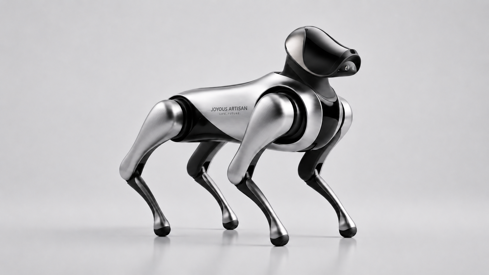 # Quadruped Robot# Home Robot# Intelligent Robot，