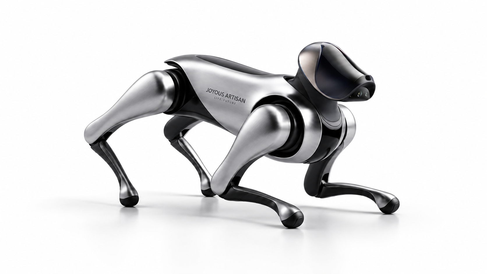 # Quadruped Robot# Home Robot# Intelligent Robot，