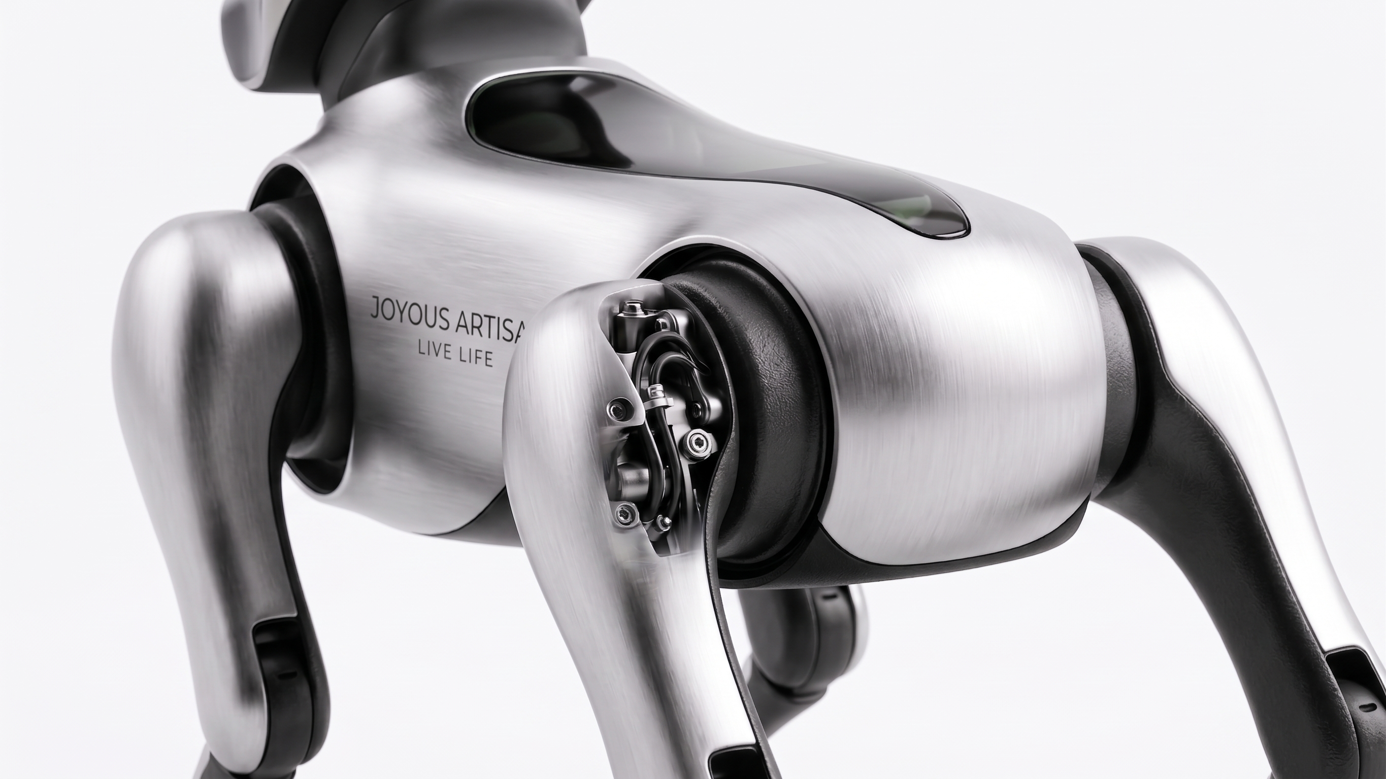 # Quadruped Robot# Home Robot# Intelligent Robot，