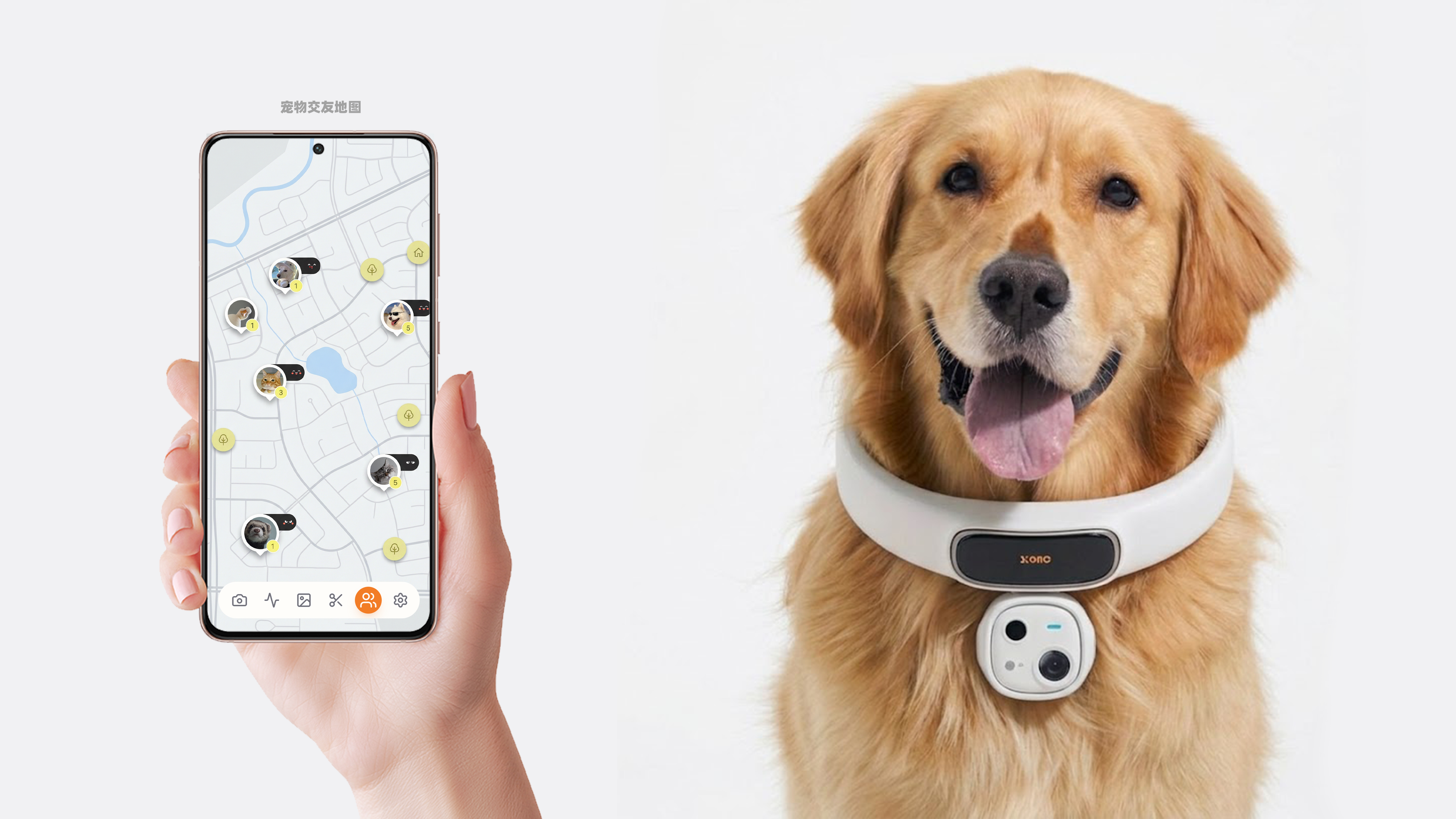 topseed Contest，industrial design，Pet products，
