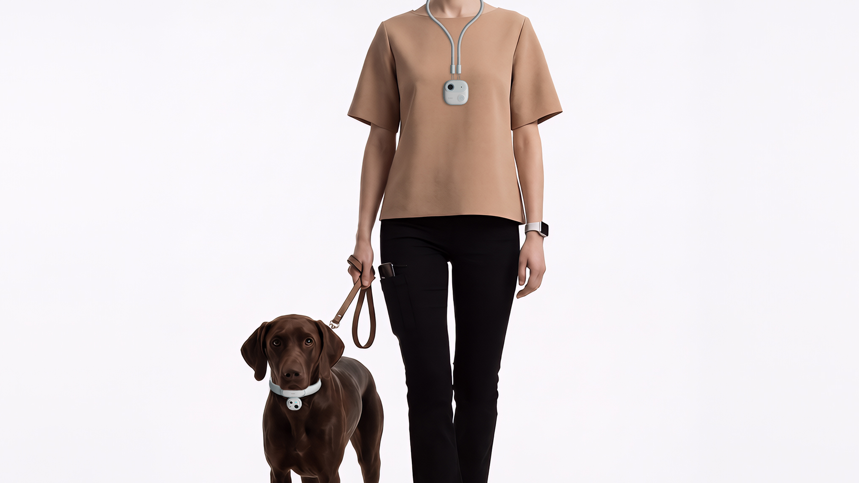 topseed Contest，industrial design，Pet products，