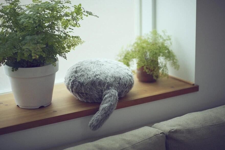 industrial design，Interaction design，product design，Interesting design，Cats Artifact，Qoobo Tail Robot，Shi Xiaoxi，Japan excellent design award，stroke a cat，Japanese design，Why is this design good?，