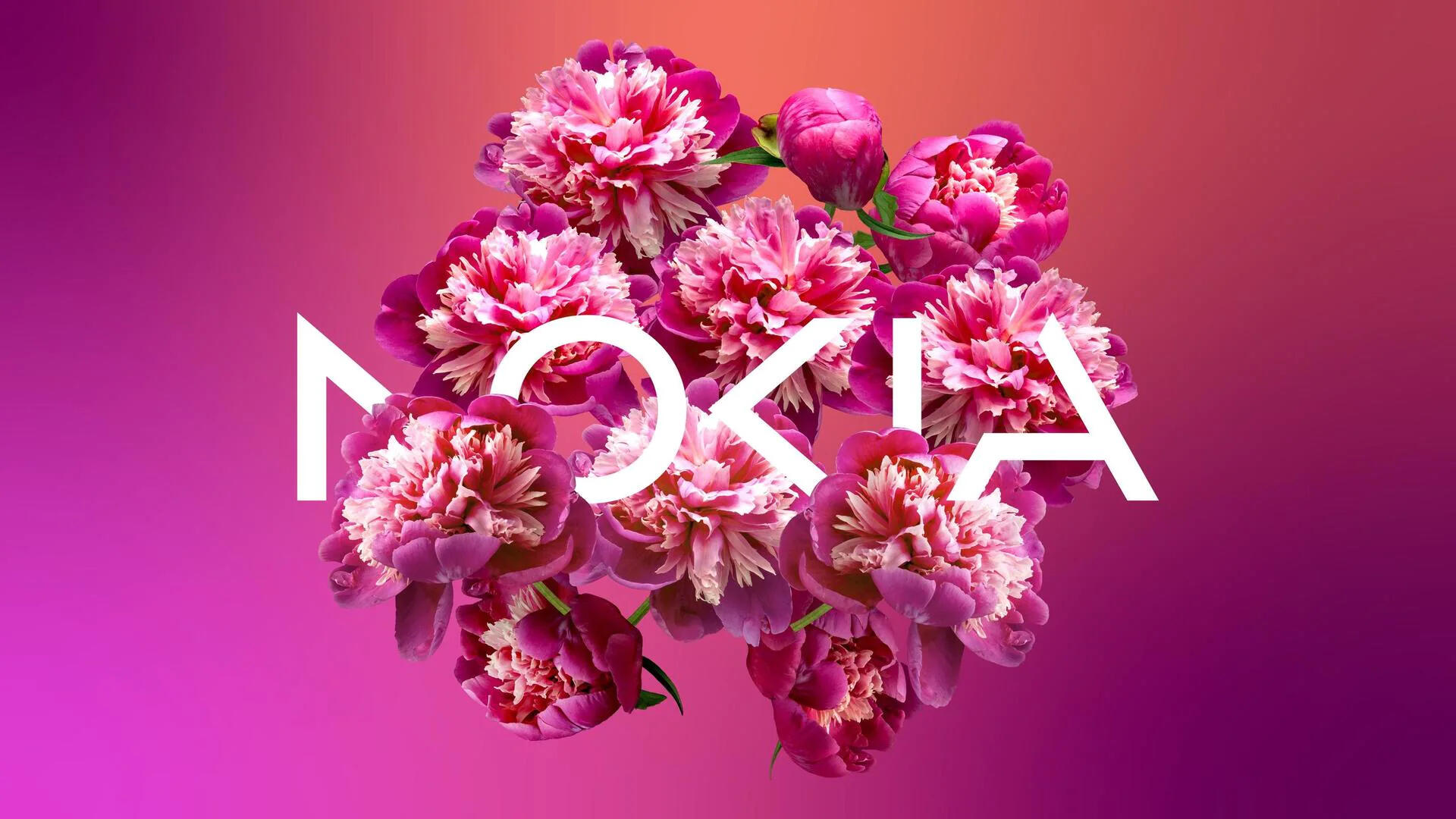 NOKIA，，Shi Xiaoxi，，Logo design，，