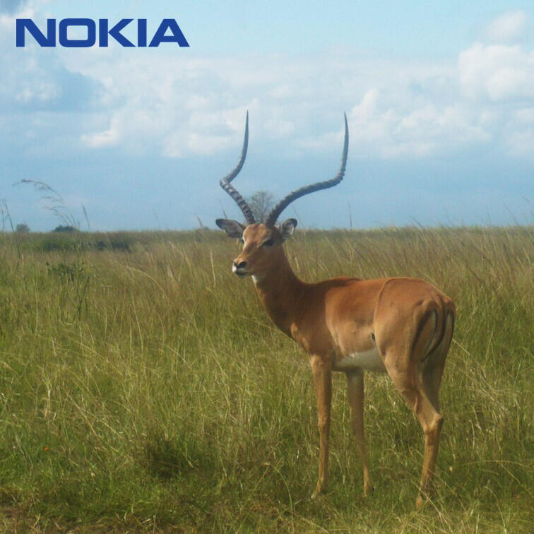 NOKIA，Design inspiration，Shi Xiaoxi，，Africa，