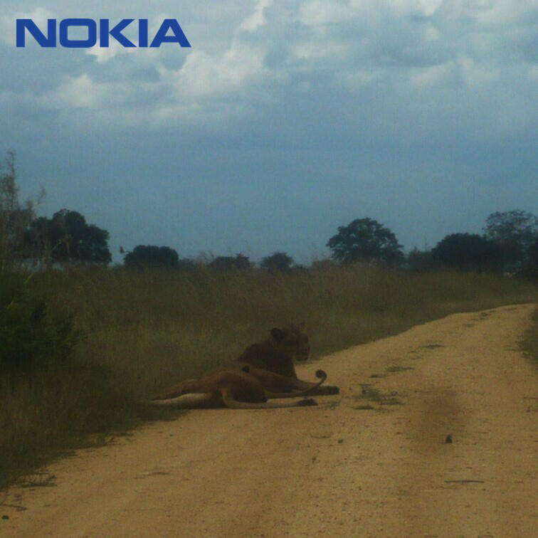 NOKIA，Design inspiration，Shi Xiaoxi，，Africa，