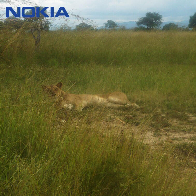 NOKIA，Design inspiration，Shi Xiaoxi，，Africa，