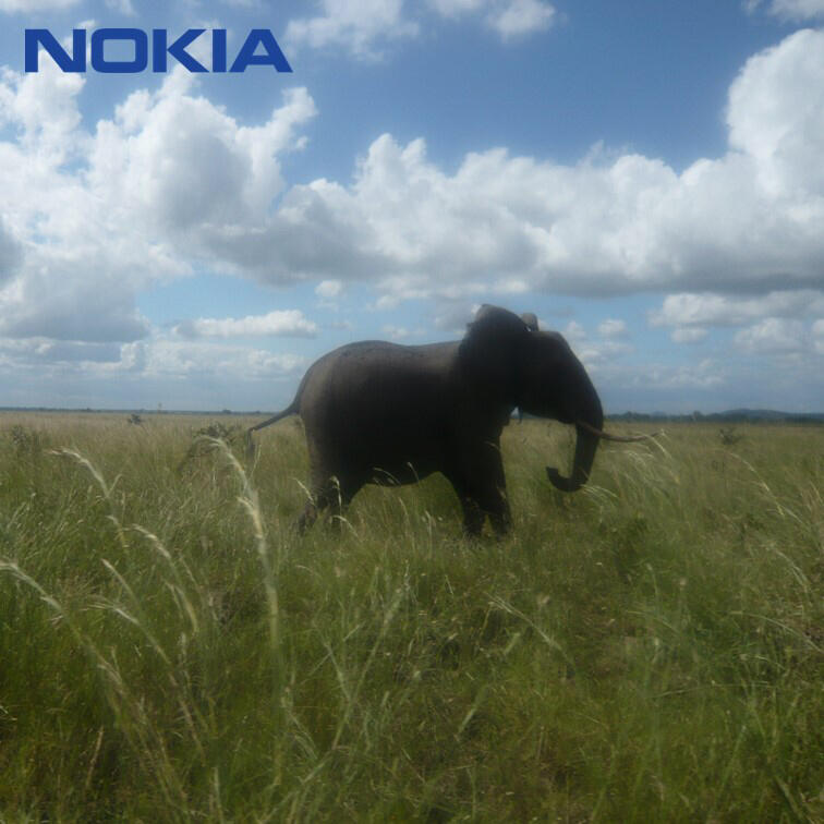 NOKIA，Design inspiration，Shi Xiaoxi，，Africa，