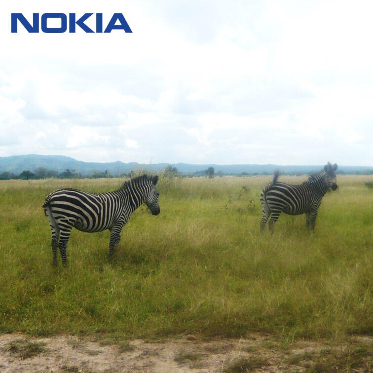 NOKIA，Design inspiration，Shi Xiaoxi，，Africa，