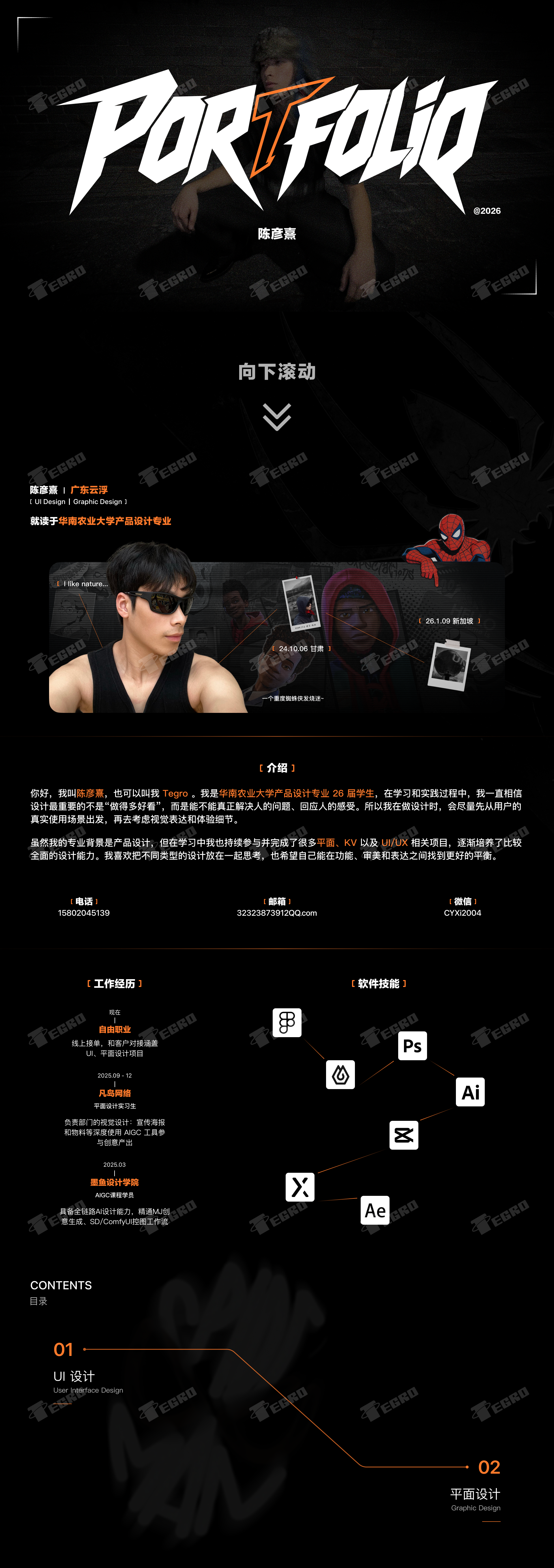 Graphic Artist Designer，UI design，