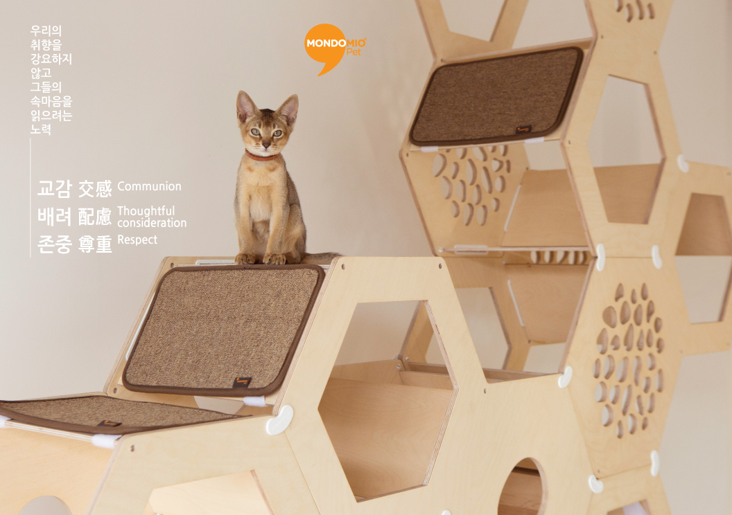 Good Design，Cat-tower，two thousand and seventeen，