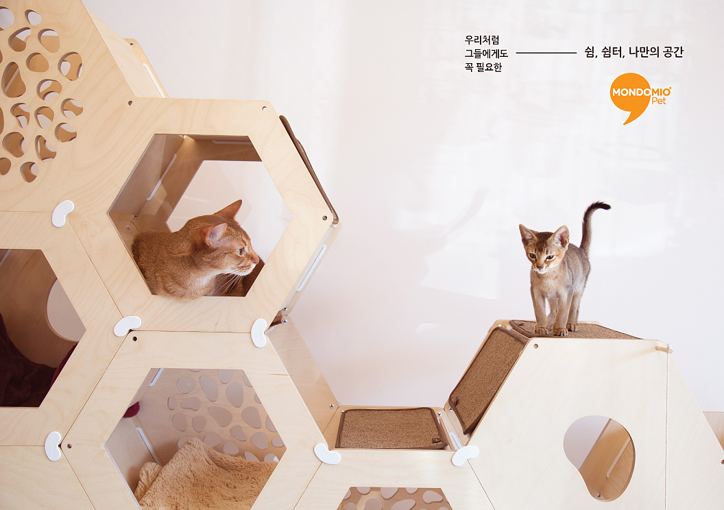 Good Design，Cat-tower，2017，