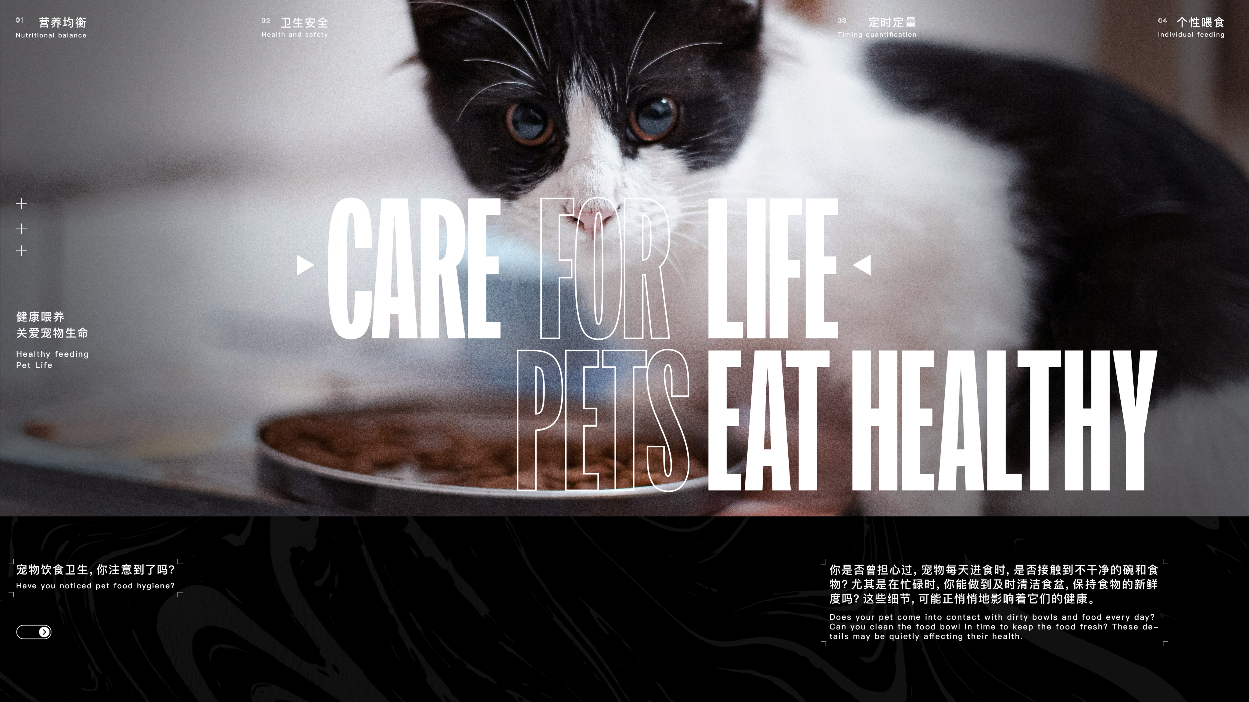 product design，industrial design，Pet feeder，Minimalist style，