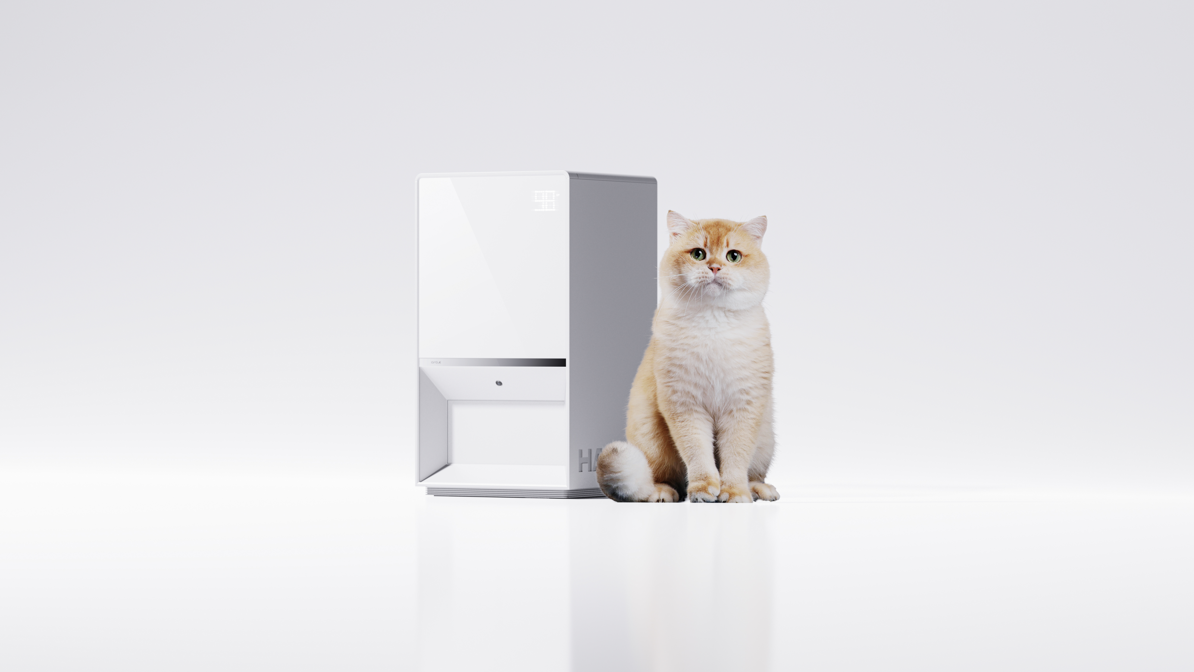 product design，industrial design，Pet feeder，Minimalist style，