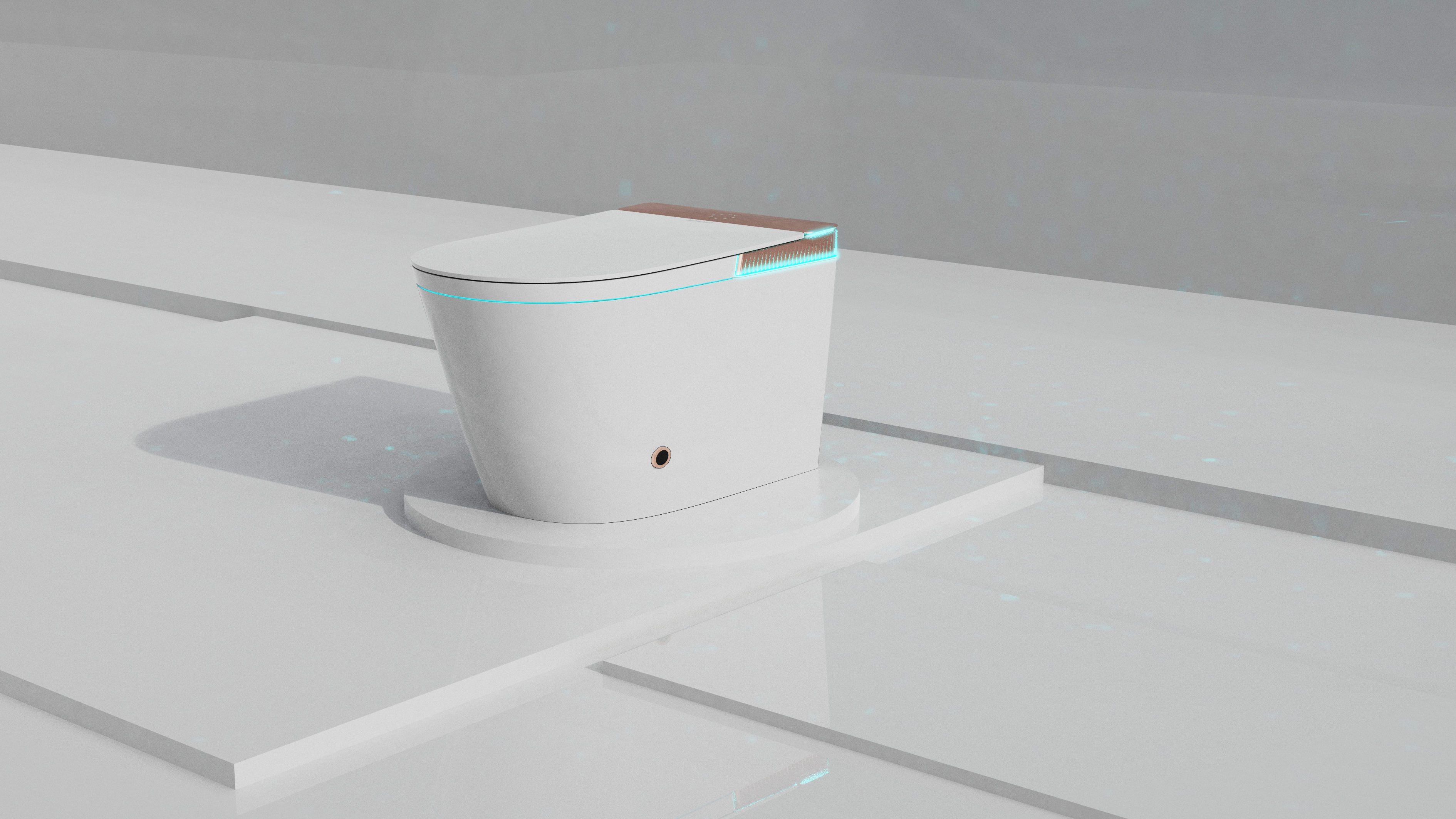 Intelligent toilet，