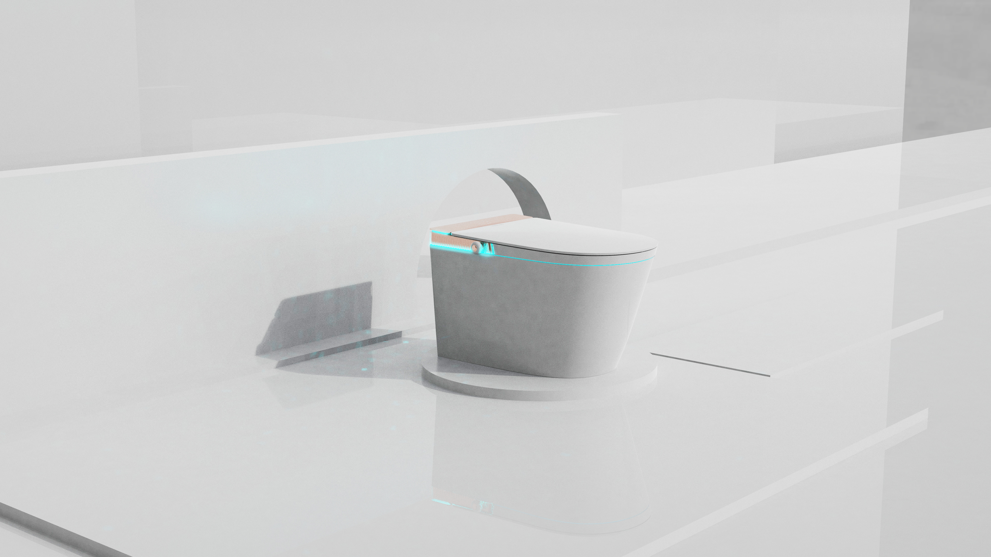 Intelligent toilet，