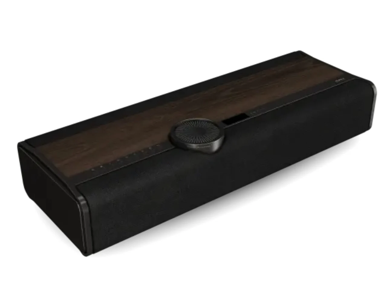 DALI Vega，Integrated wireless speaker，Hi-Fi All-in-One，