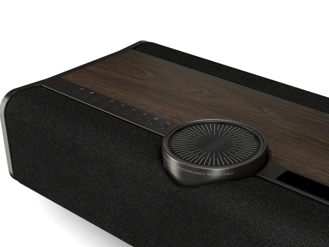 DALI Vega，Integrated wireless speaker，Hi-Fi All-in-One，