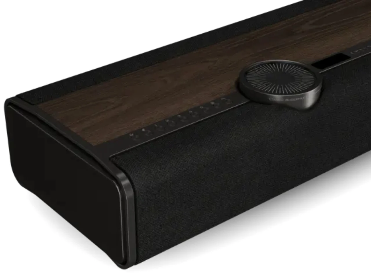 DALI Vega，Integrated wireless speaker，Hi-Fi All-in-One，