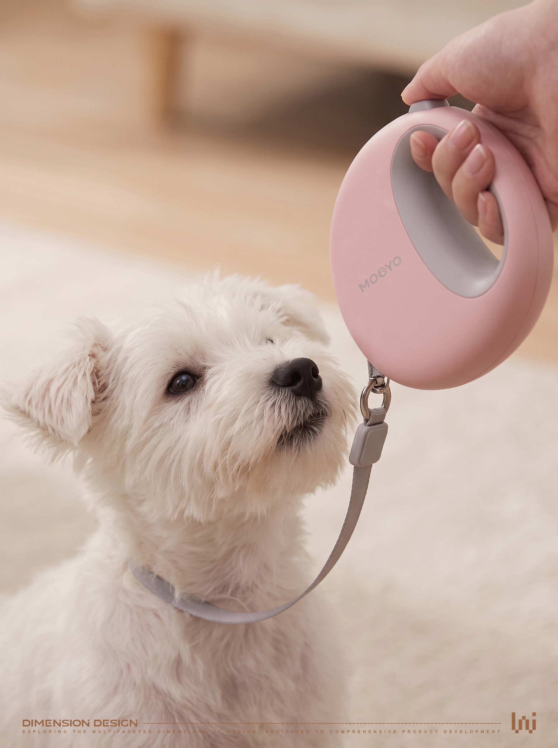 product design，Pet Supplies & Pet，Pet traction rope，Traction rope，Pet products，