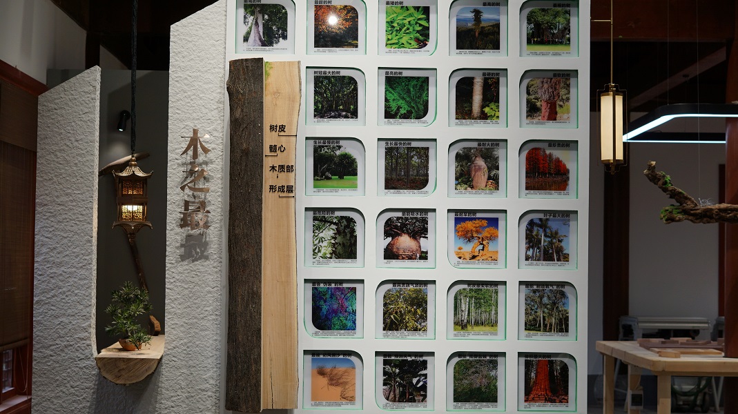 Wood, studio exhibition hall, furniture, antique, stone，