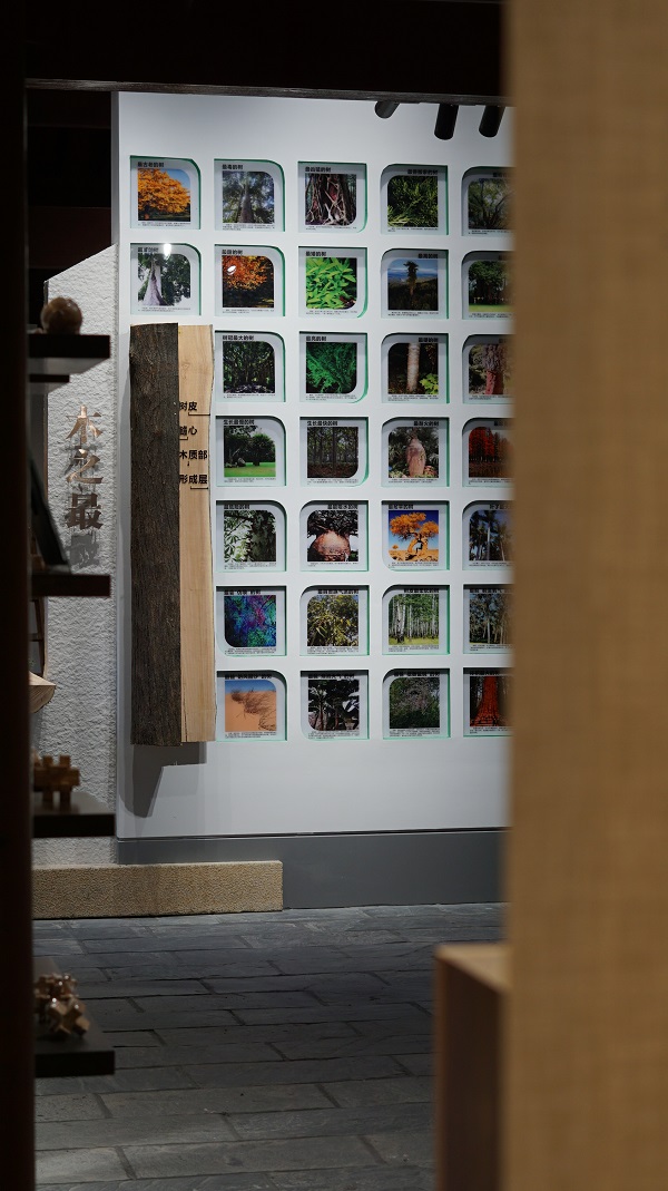 Wood, studio exhibition hall, furniture, antique, stone，