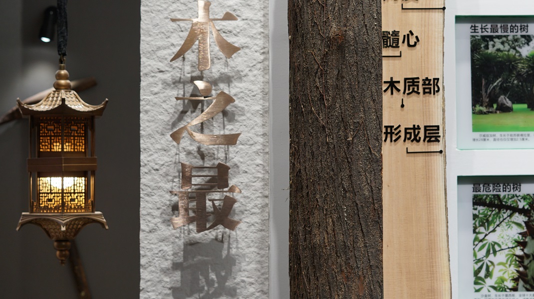 Wood, studio exhibition hall, furniture, antique, stone，