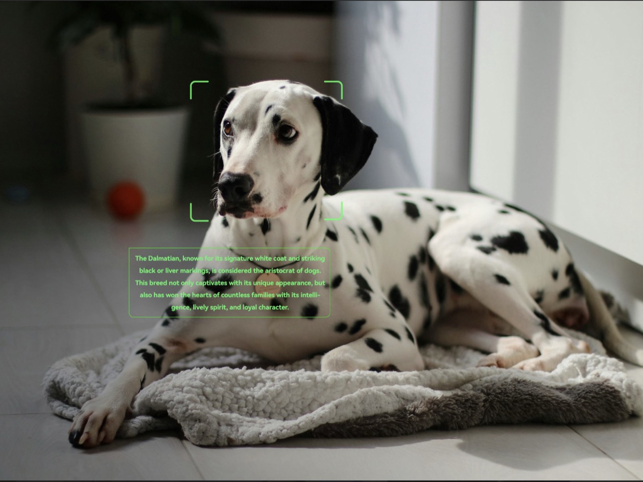 Smart glasses，ai，Digital，Electronic equipment，
