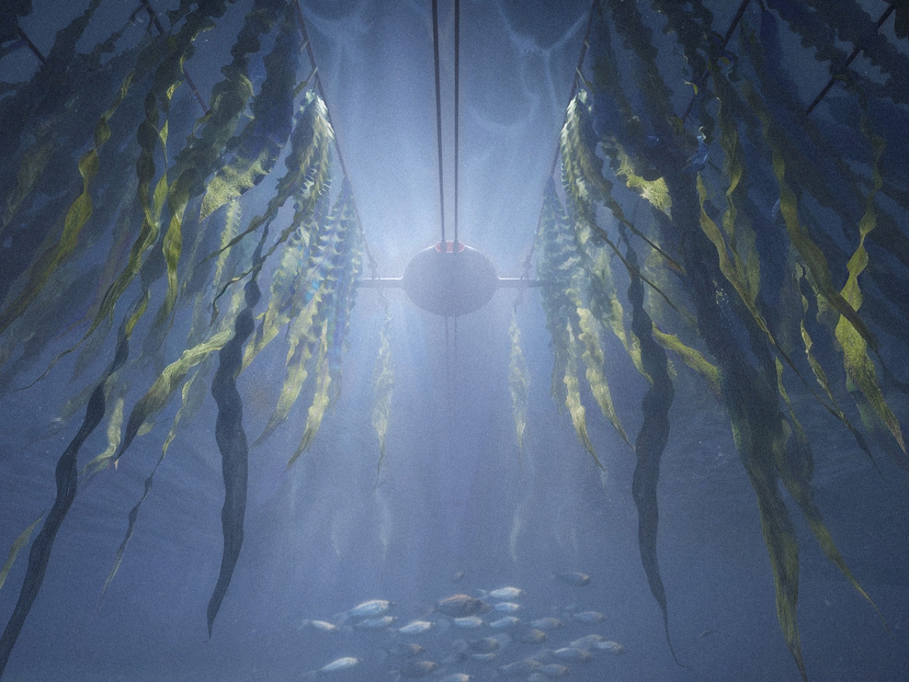 Symbios，symbiotic buoy，originality，industrial design，