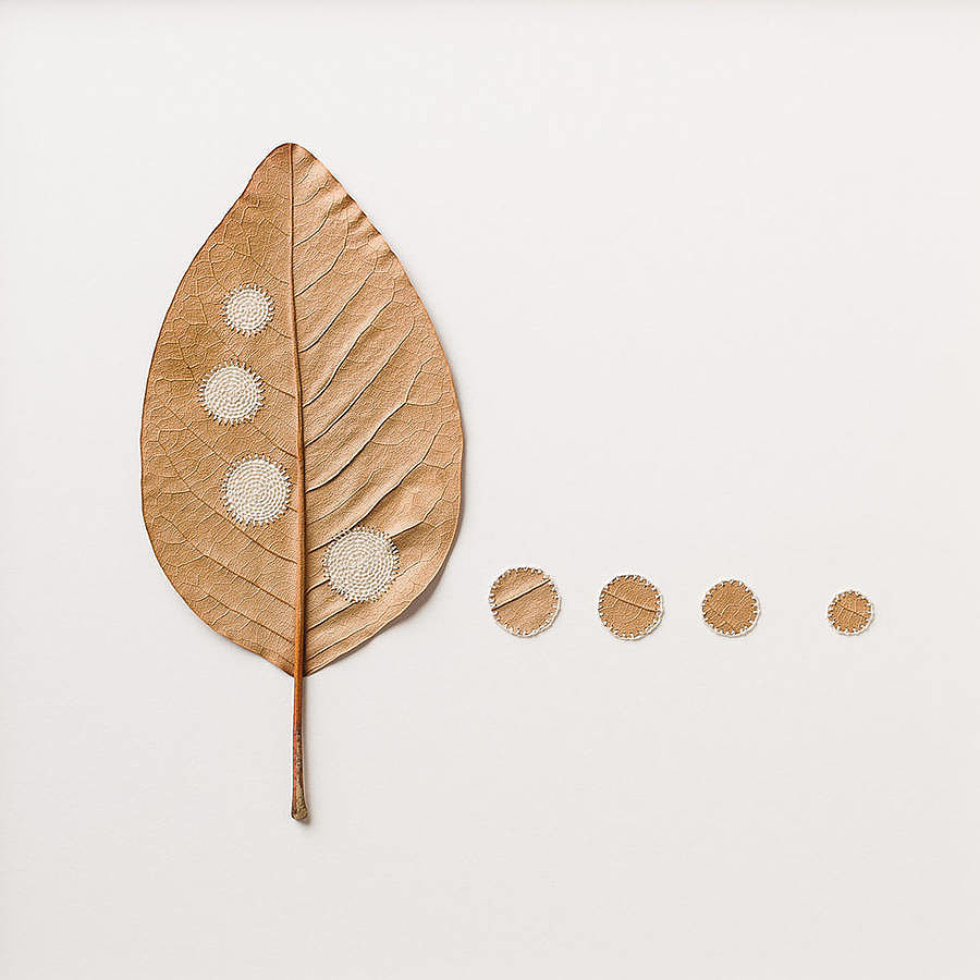 Embroidery，leaf，natural，Splicing，