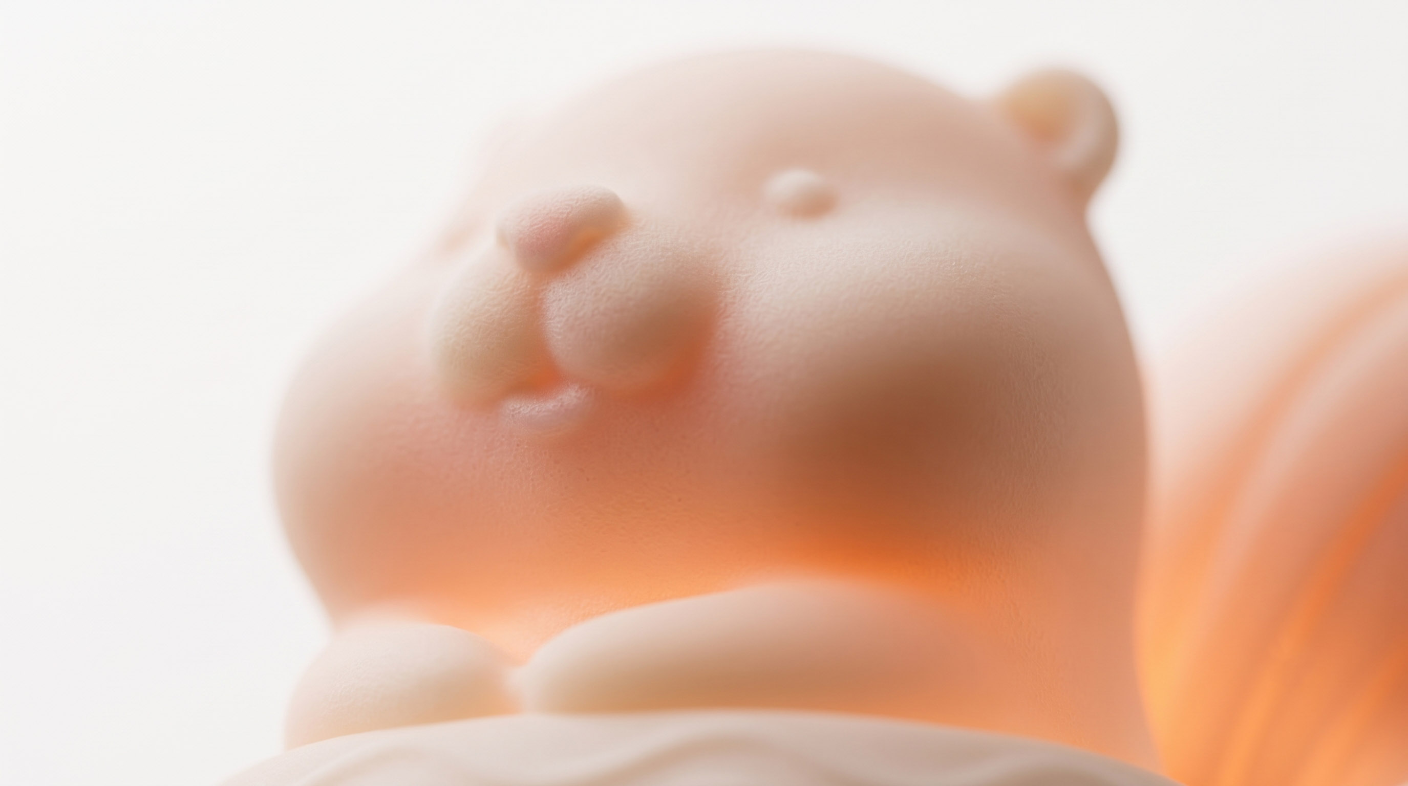 # Industrial Design# Product Design# Nightlight# Bionic，
