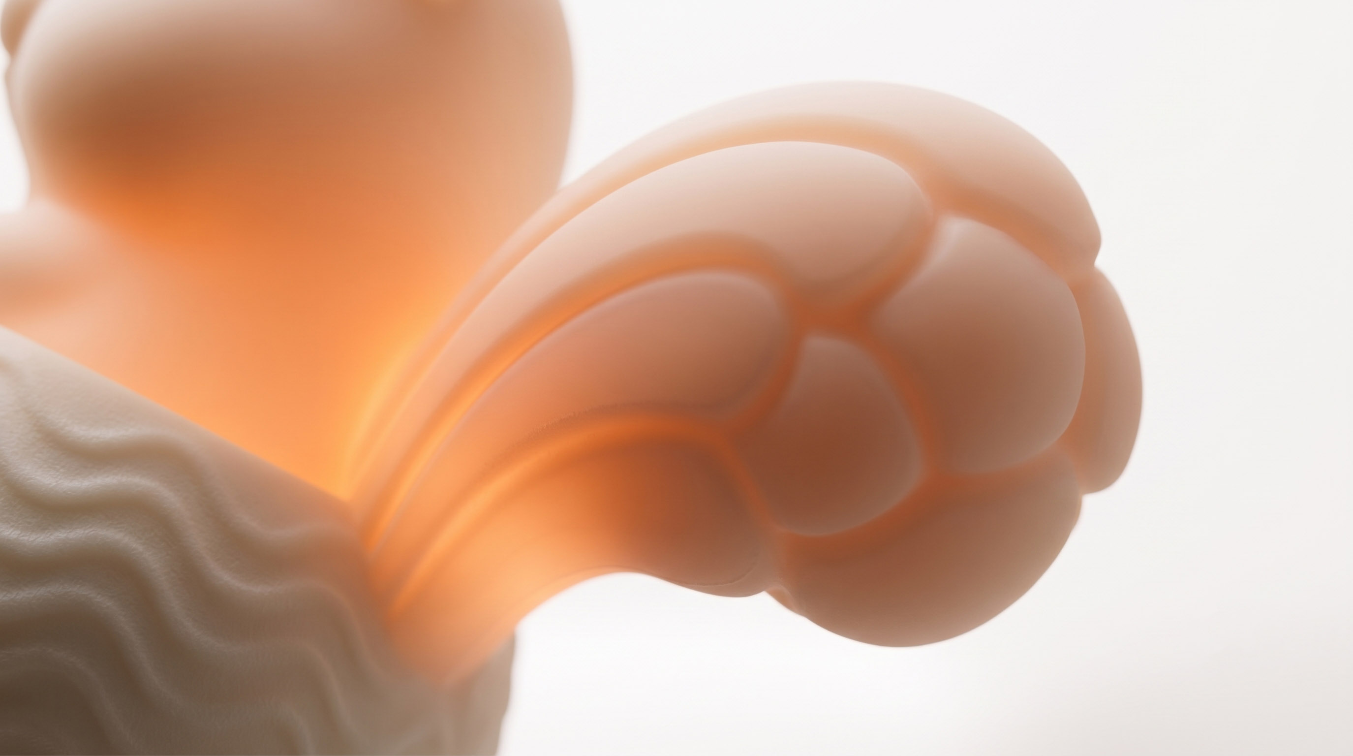 # Industrial Design# Product Design# Nightlight# Bionic，