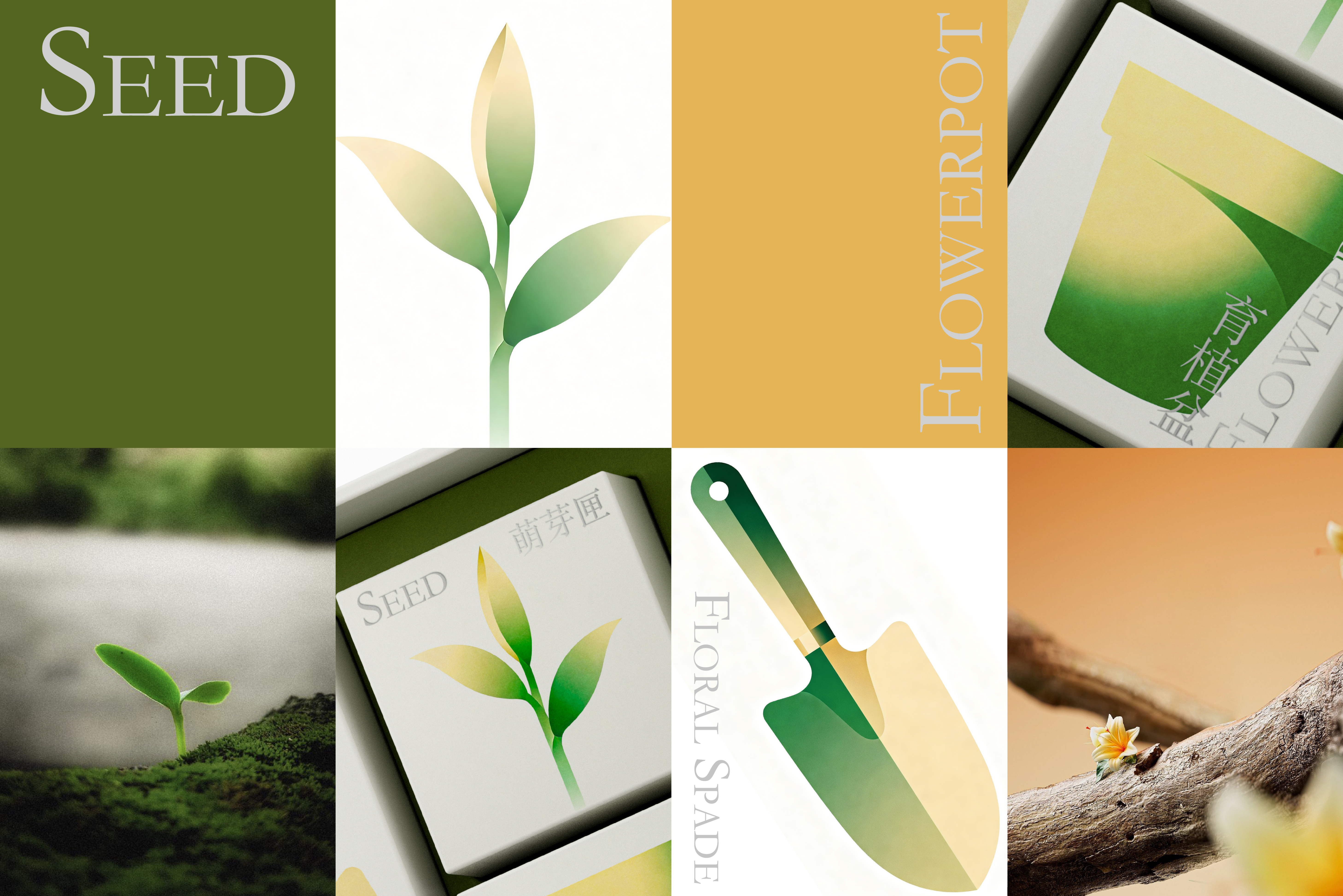 packing design，Genlido，good flower raising，Souvenir ，Box design，Gardening Accompanying Ceremony，