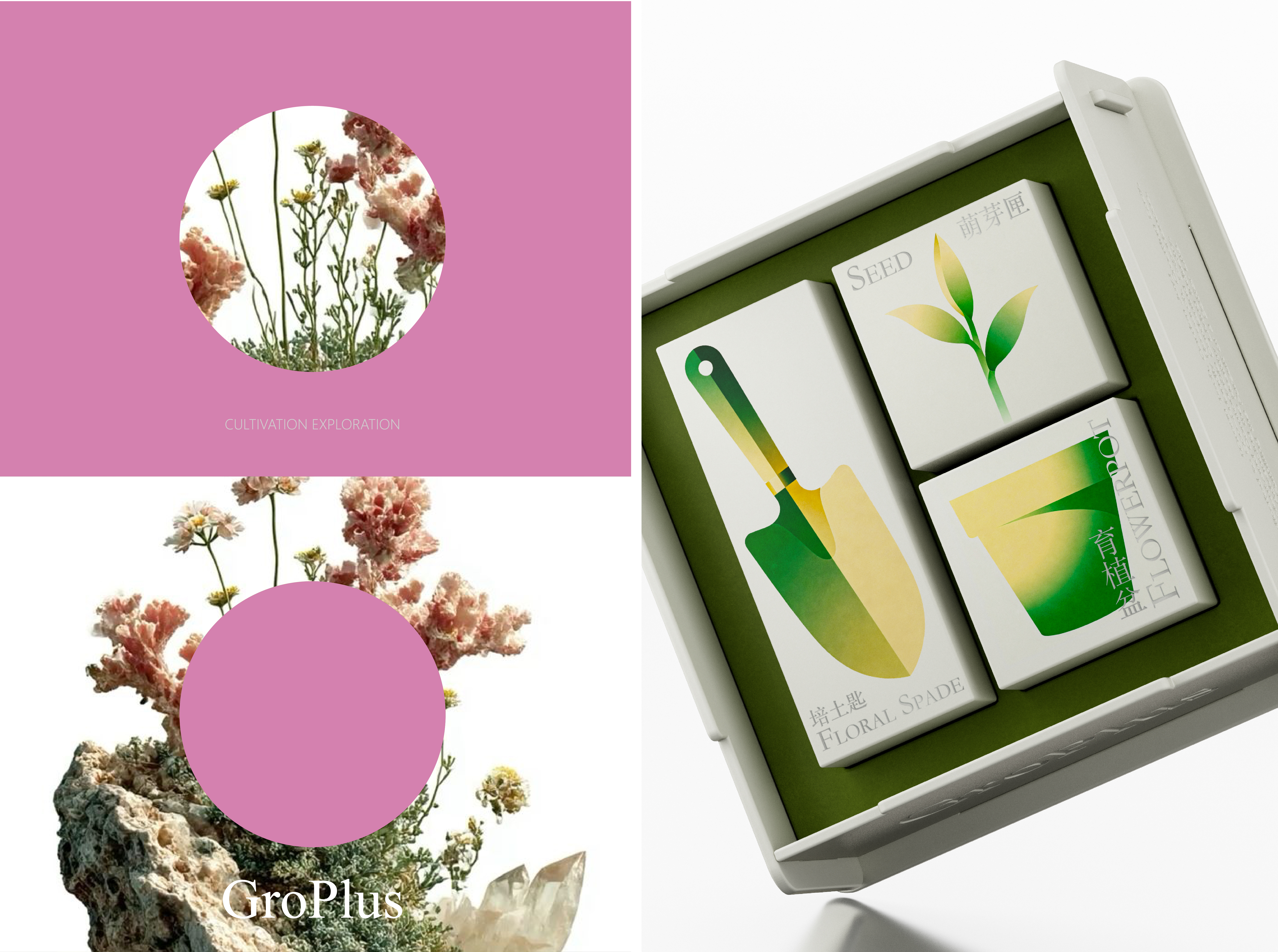 packing design，Genlido，good flower raising，Souvenir ，Box design，Gardening Accompanying Ceremony，