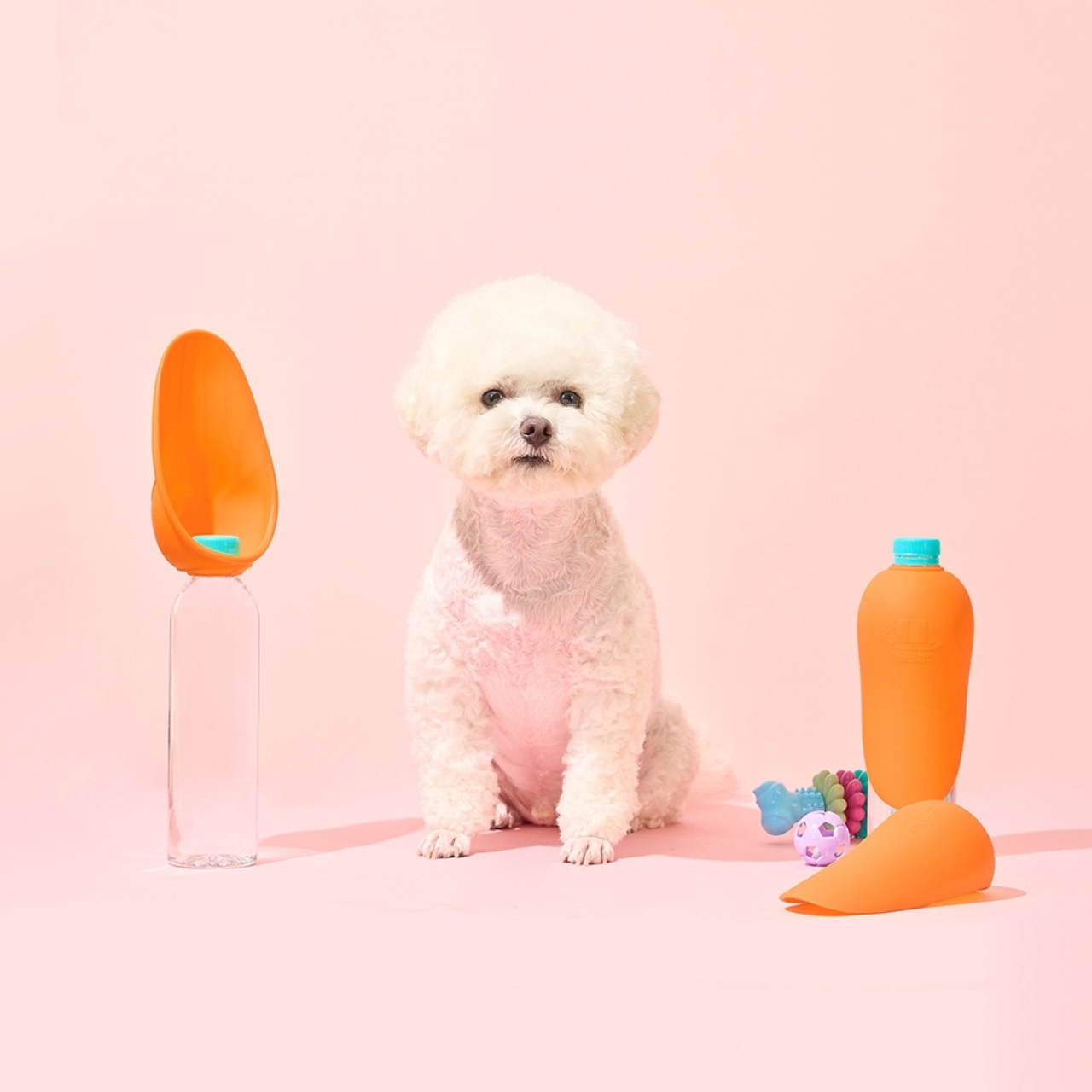 Gaenim，Pet Supplies & Pet，Outdoor drinking tools for pets，Pet drinking water bottle cap，