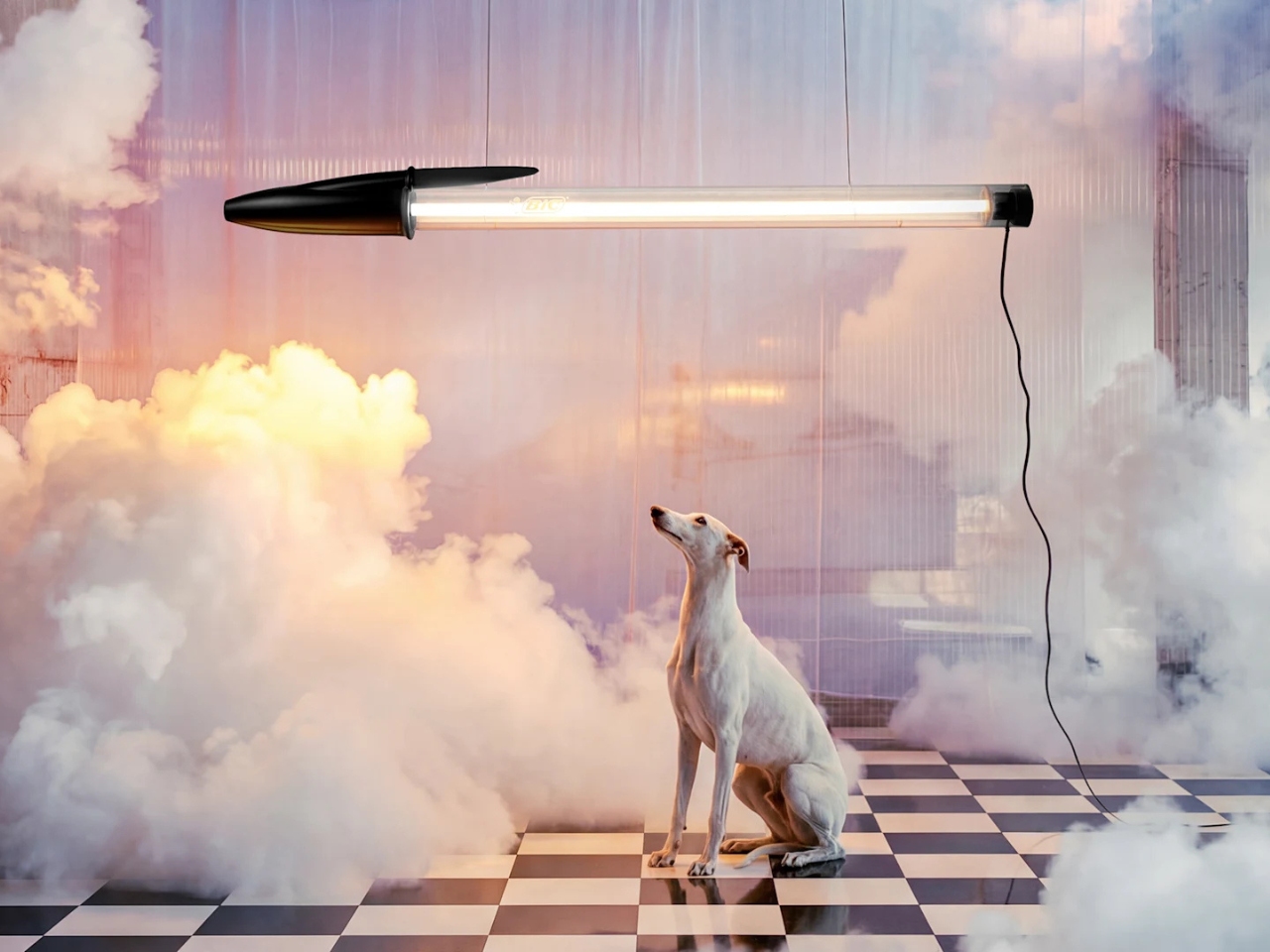BIC Cristal，ball pen，Selection，LED light source，scale transformation，