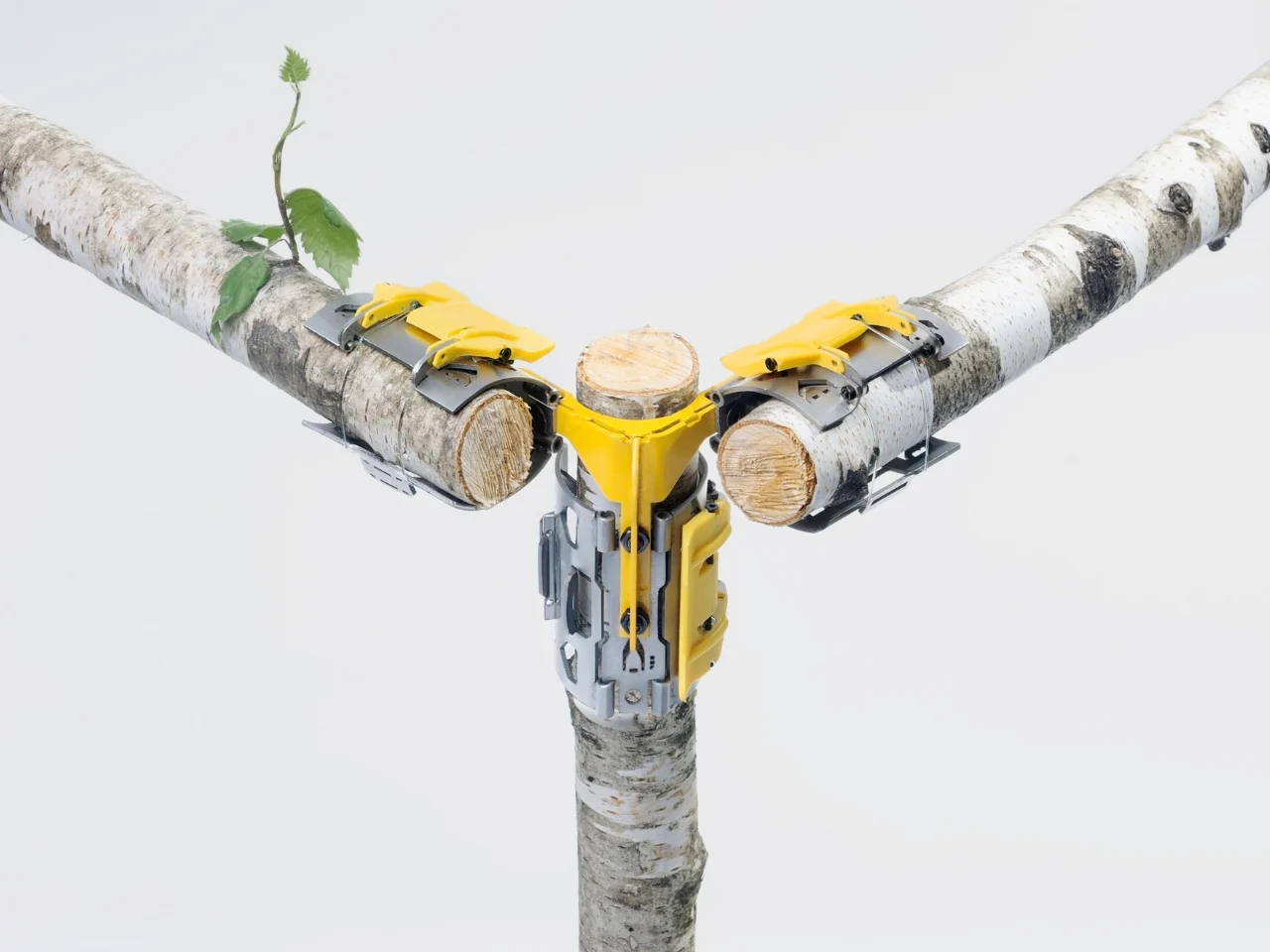 Matok Lab，Triaxial joint，Log Building，Sustainable design，