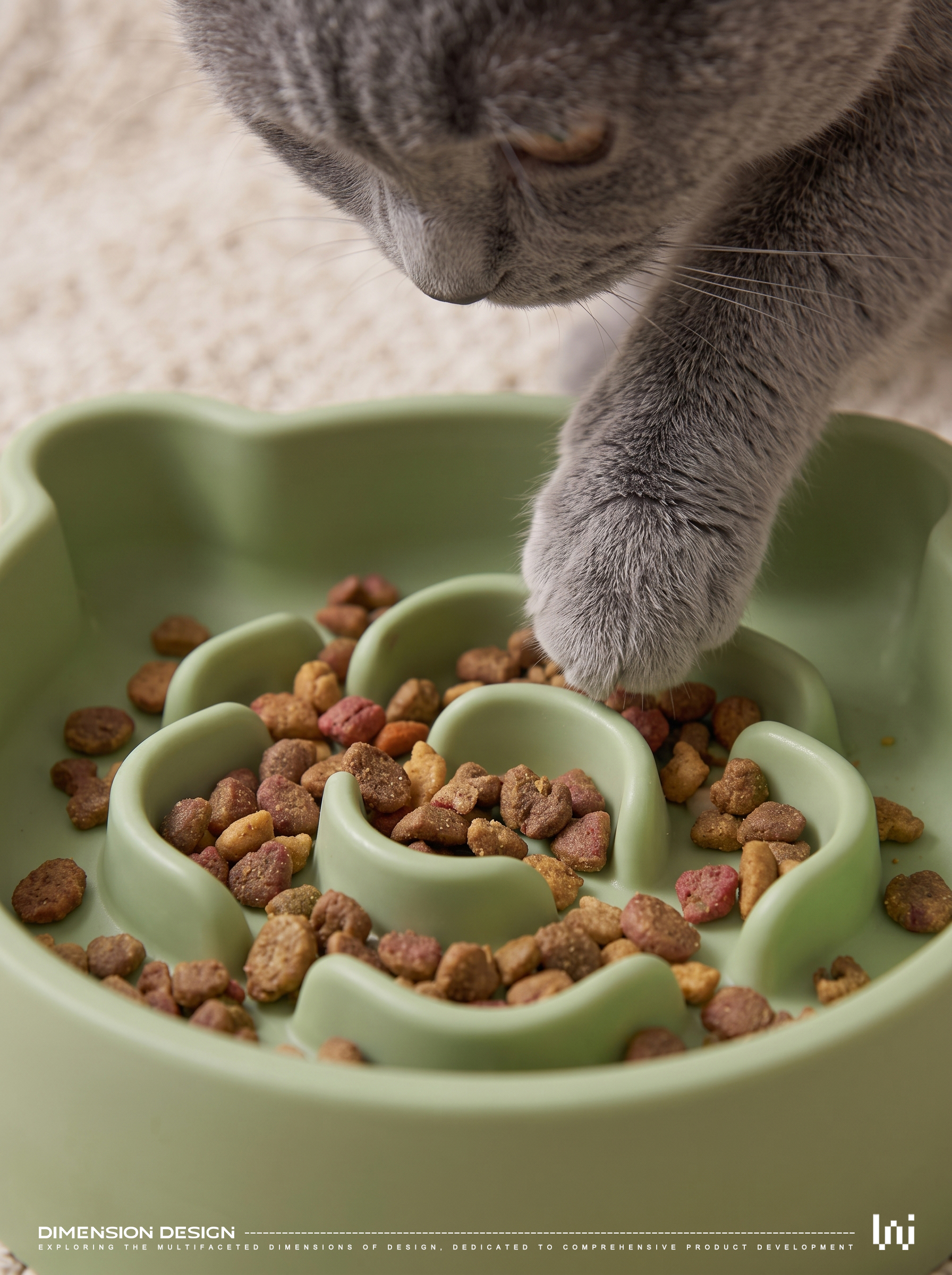 Pet Supplies & Pet，Cat bowl，Pet bowl，Auxiliary food bowl，Pet products，