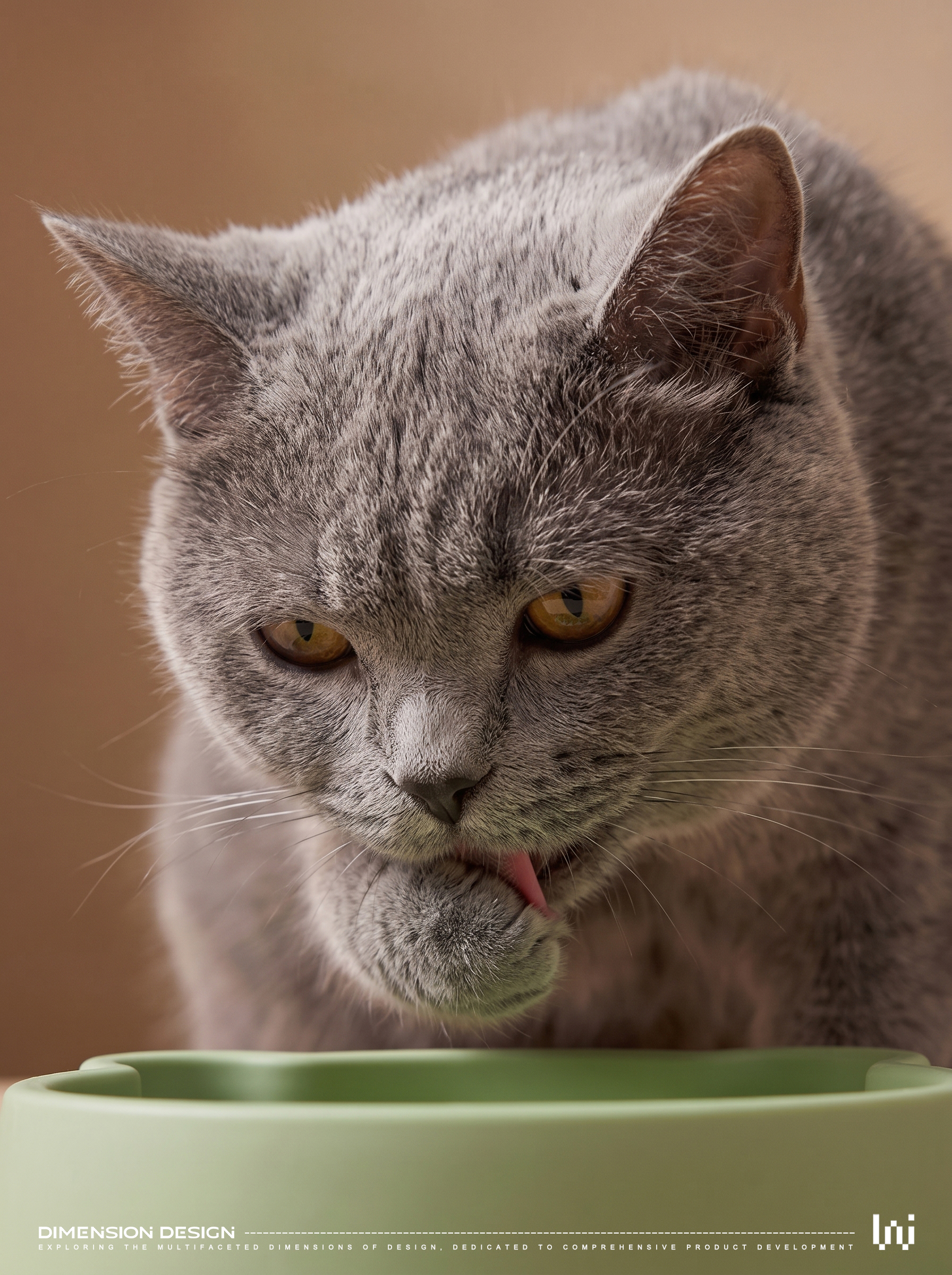 Pet Supplies & Pet，Cat bowl，Pet bowl，Auxiliary food bowl，Pet products，