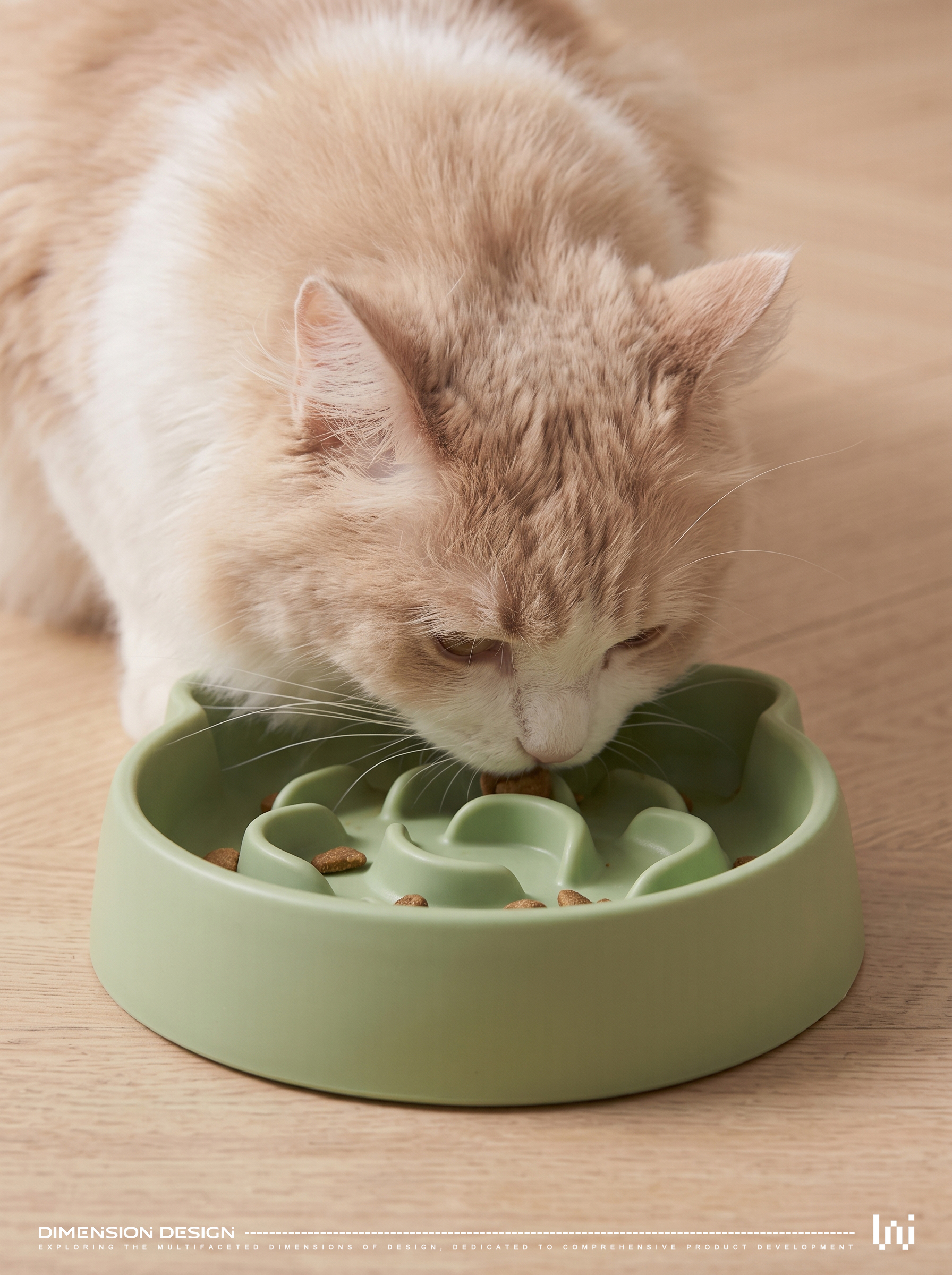 Pet Supplies & Pet，Cat bowl，Pet bowl，Auxiliary food bowl，Pet products，