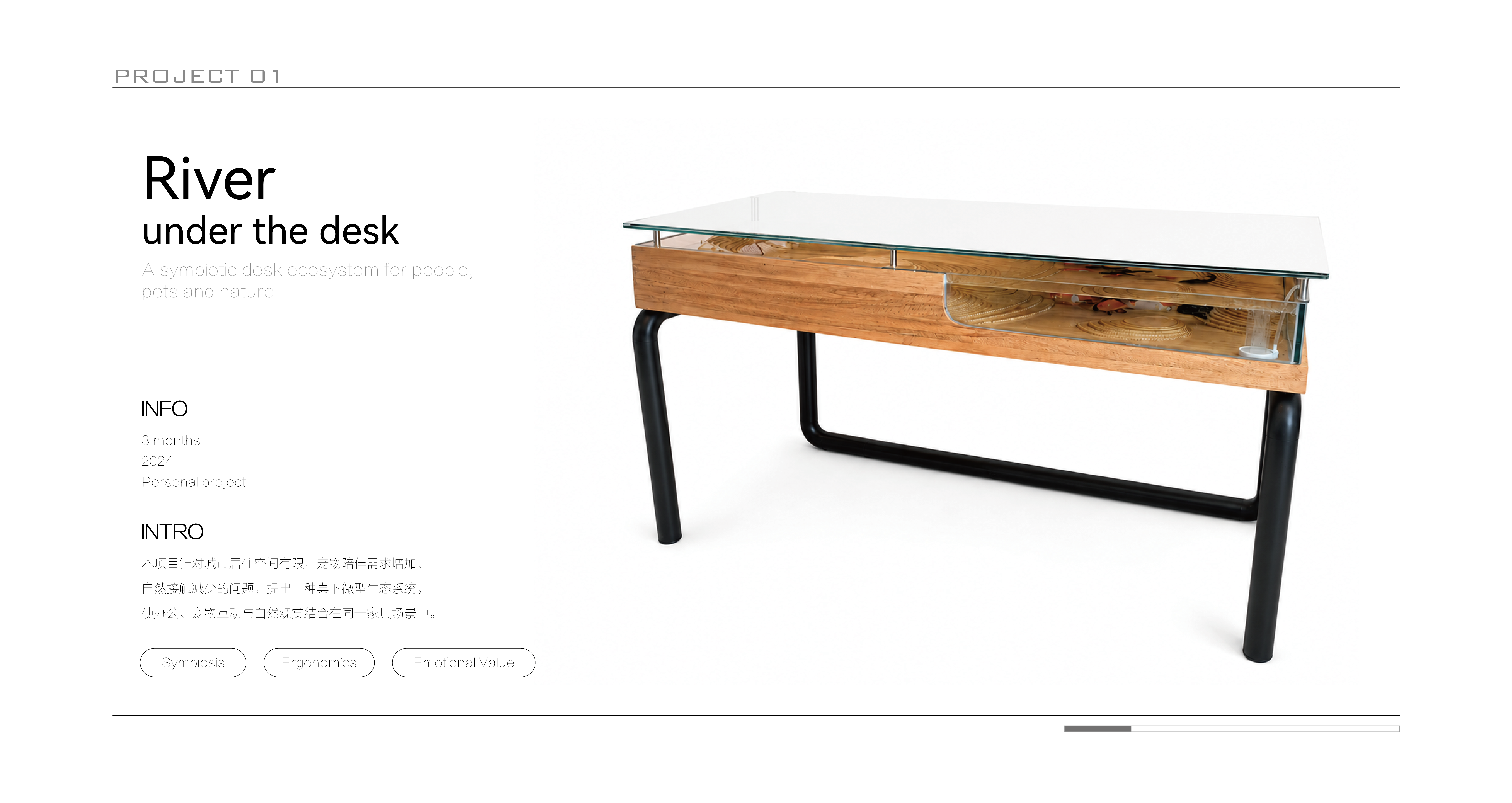 human pet symbiosis，Smart home，Ergonomics，emotional value，