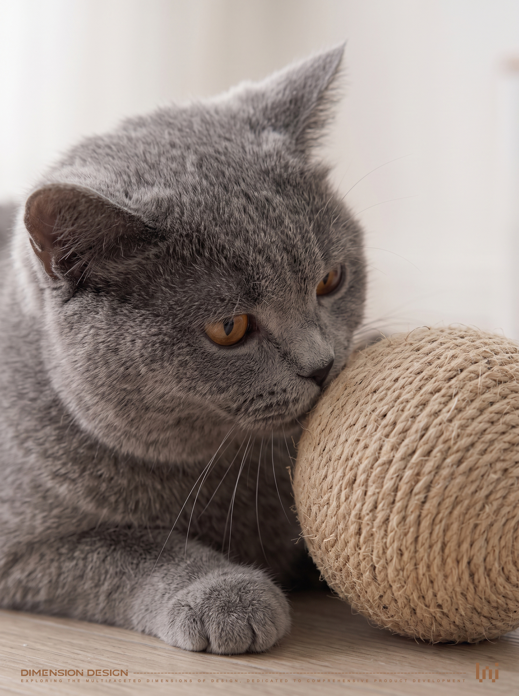 Pet Supplies & Pet，Cat ball，Pet ball，Pet toys，Wool ball，
