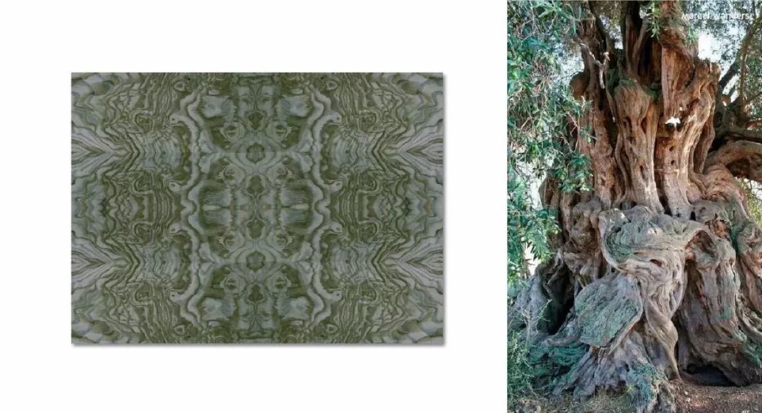 Moor，Adrift，Furrow，Furrow，tea table，