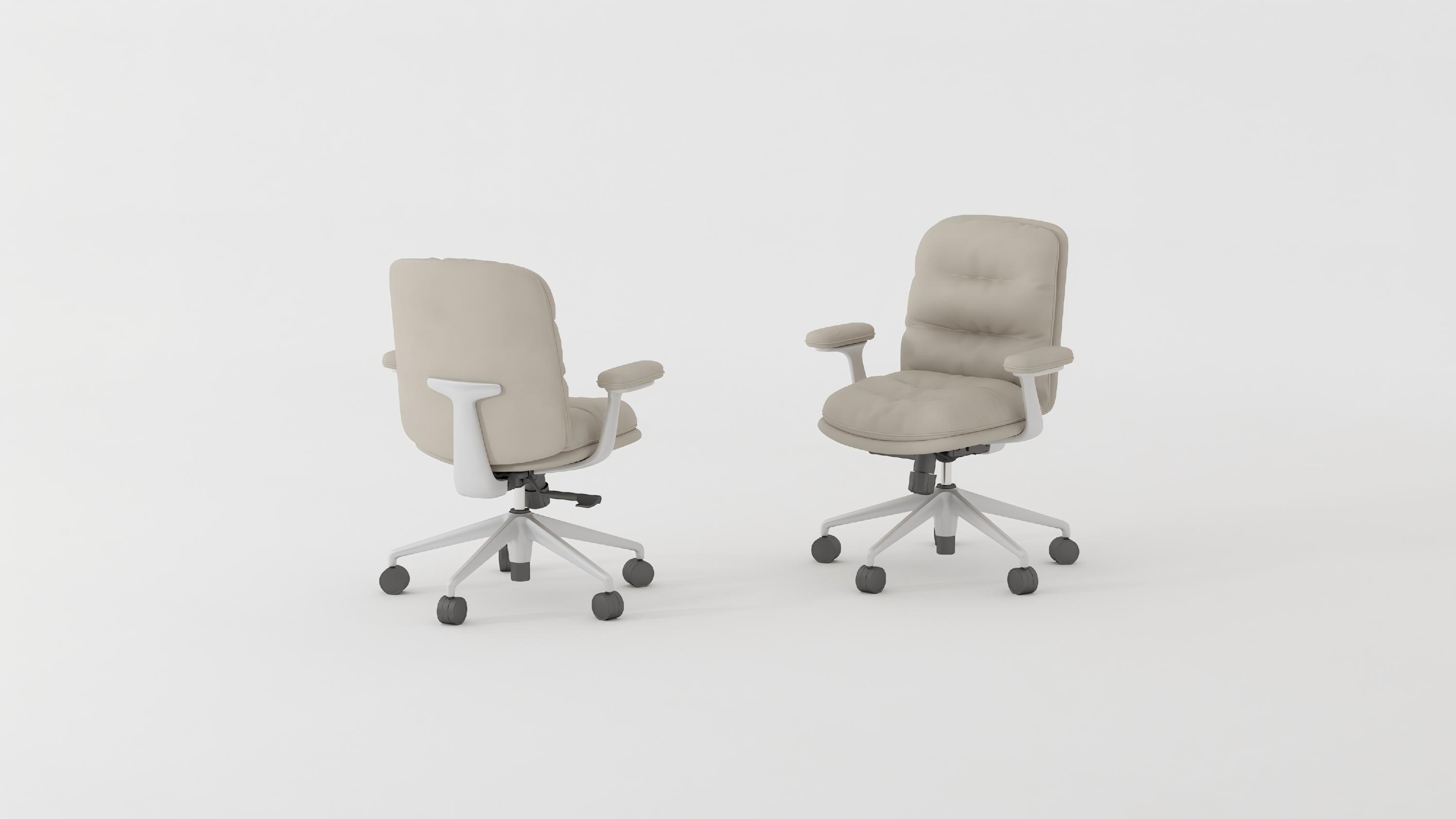 Leisure chair，furniture，Home Furnishing，