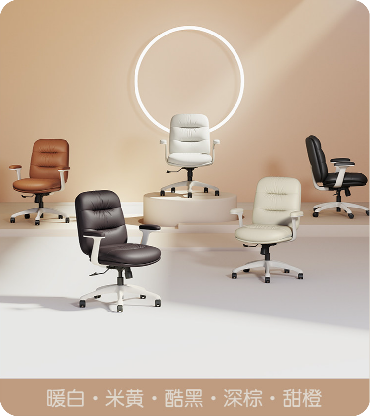 Leisure chair，furniture，Home Furnishing，