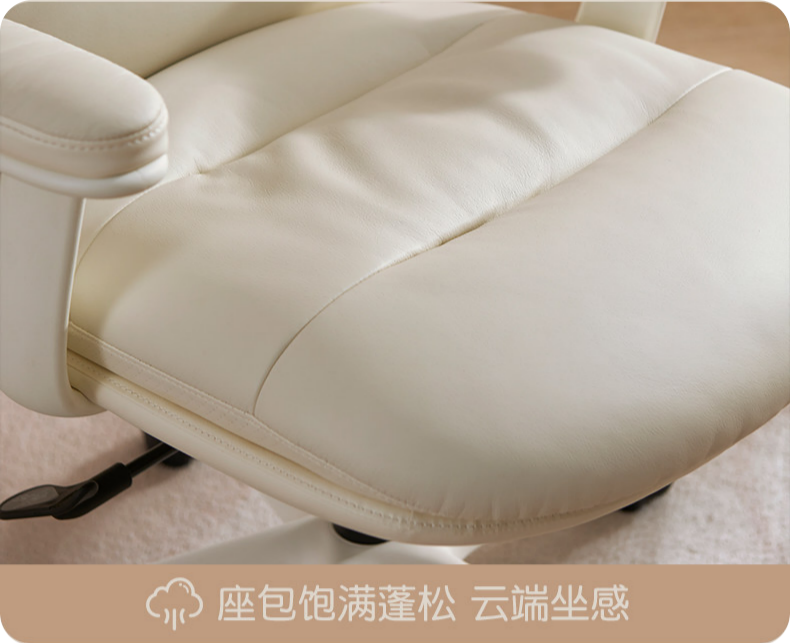 Leisure chair，furniture，Home Furnishing，