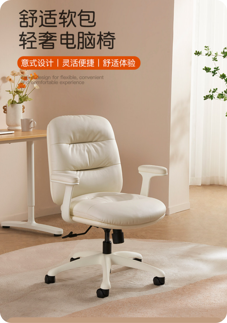 Leisure chair，furniture，Home Furnishing，